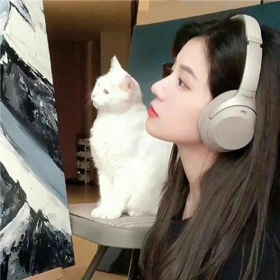 藏獒情未了